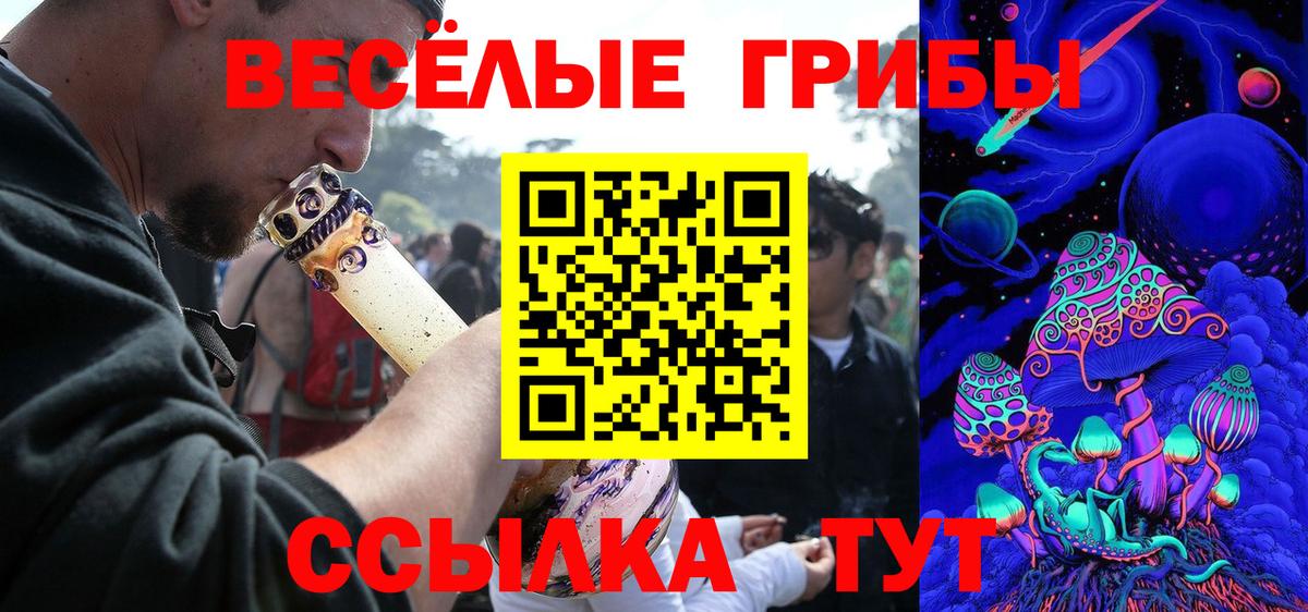 Галлюциногенные грибы прущие грибы  Вход с VPN  Балашов 